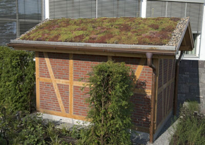 Dachbegrünung