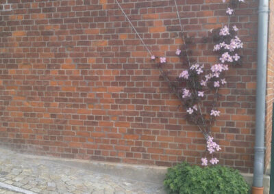 Hauseingang Nenndorf