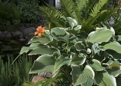 Privatgarten Neu Wulmstorf