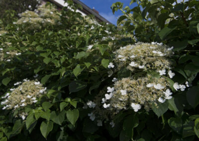 Privatgarten Neu Wulmstorf